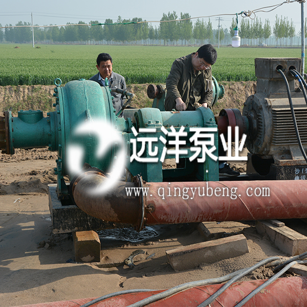 泥沙泵350PNS-35