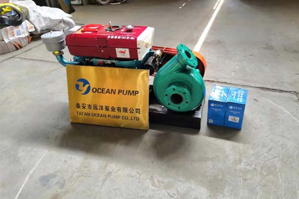 遠(yuǎn)洋牌小型抽沙泵樣圖